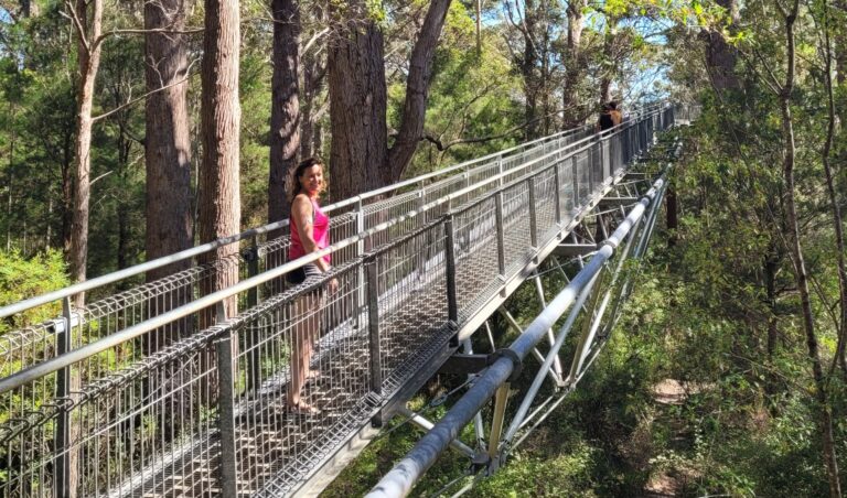 Tree Top Walk